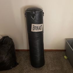 Everlast Punching Bag