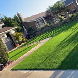 Turf