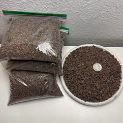 Lava Rocks For Plants ( $3 each pound)