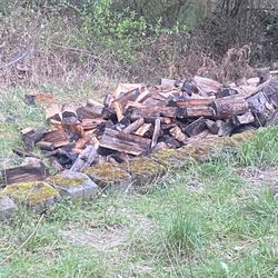 Seasoned Firewood 