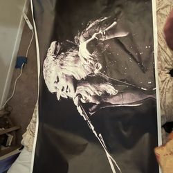 Stevie Nicks Canvas Poster