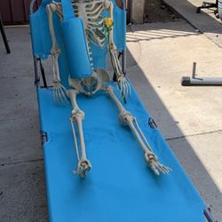 Beach Lounge Chair with Pillow