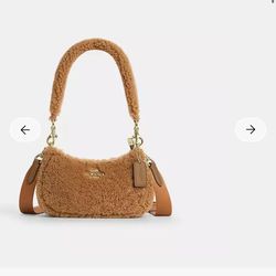 Coach Teri mini crossbody bag