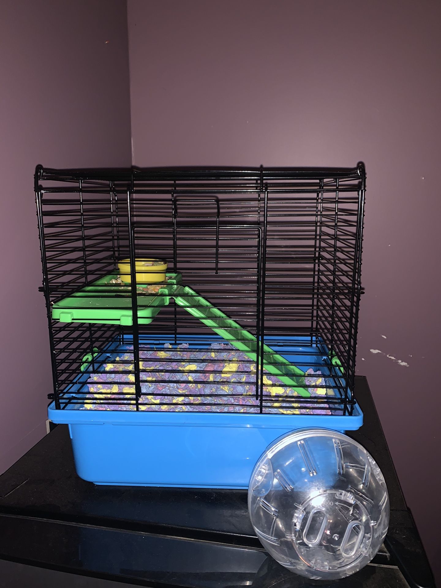 Hamster cage and ball