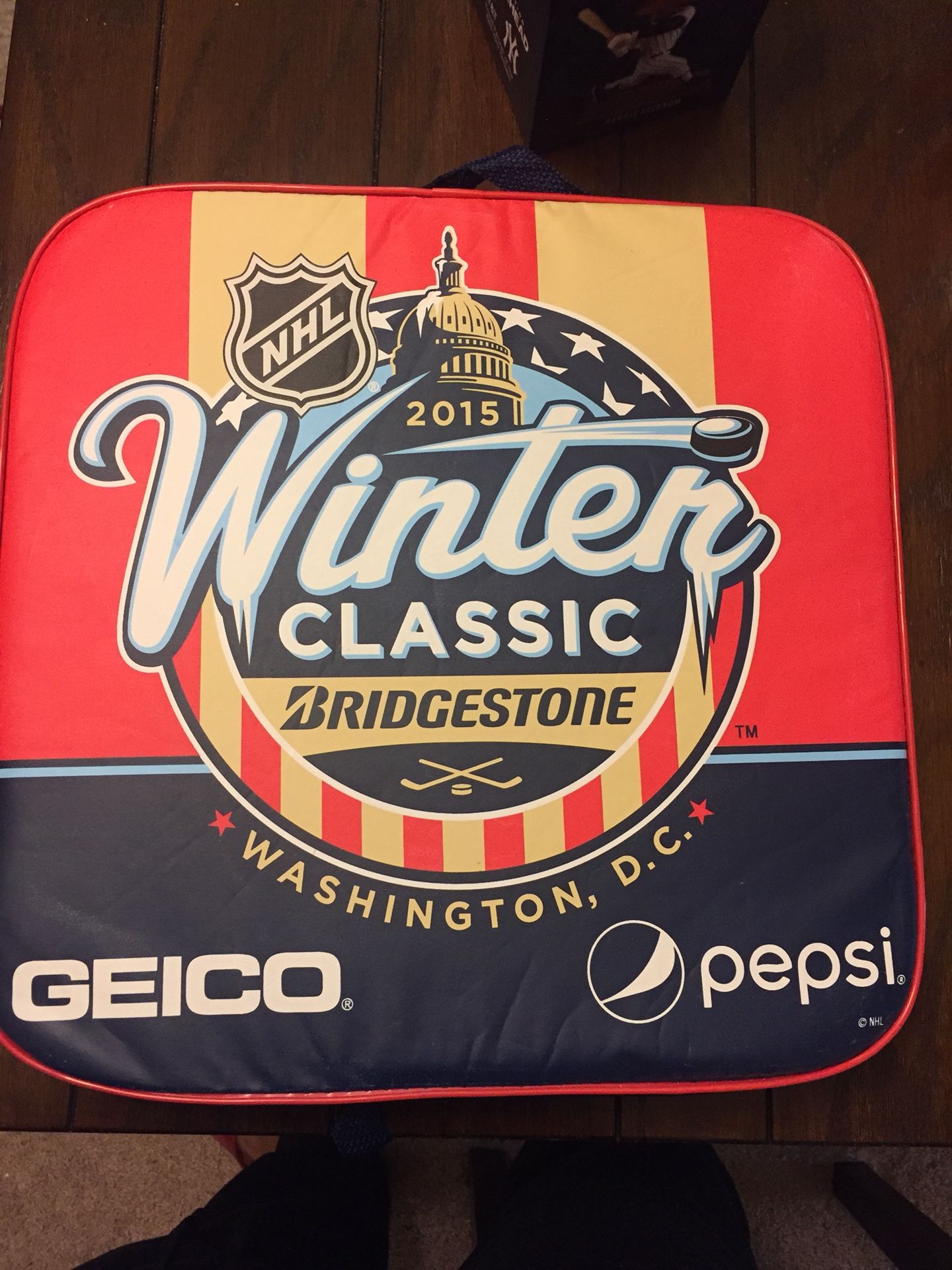 2015 NHL Winter Classic Seat Cushion