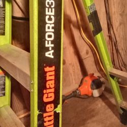 Little Giant A-Force 300 ladder