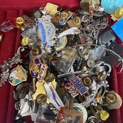 A Hole Lot Of Pins And Ear Rings 