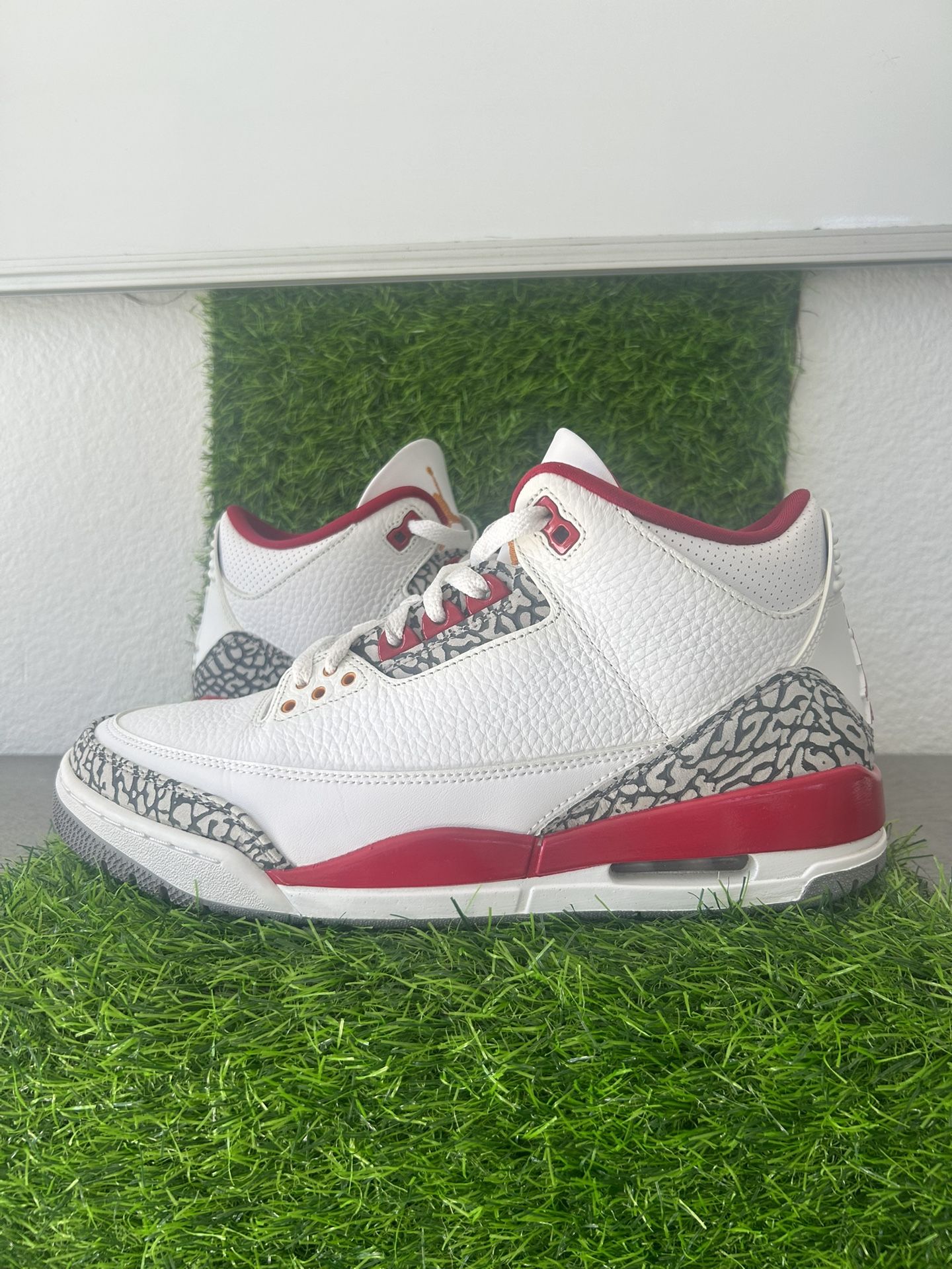 Jordan 3s