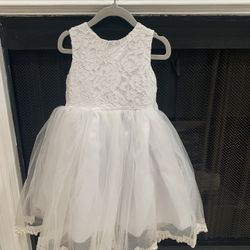 Special Ocacian Dress 