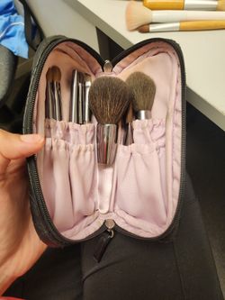 Face Brush Set Kirkland Costco With Case