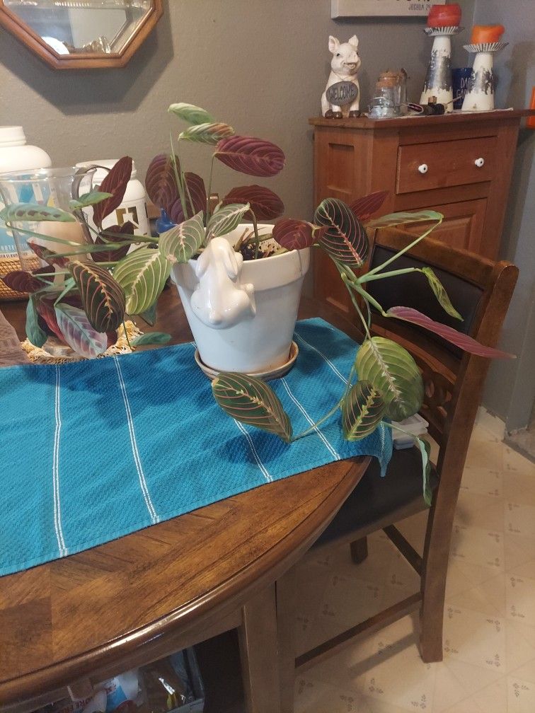 Raydon Pot says feeling happy