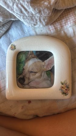 Picture frame floral