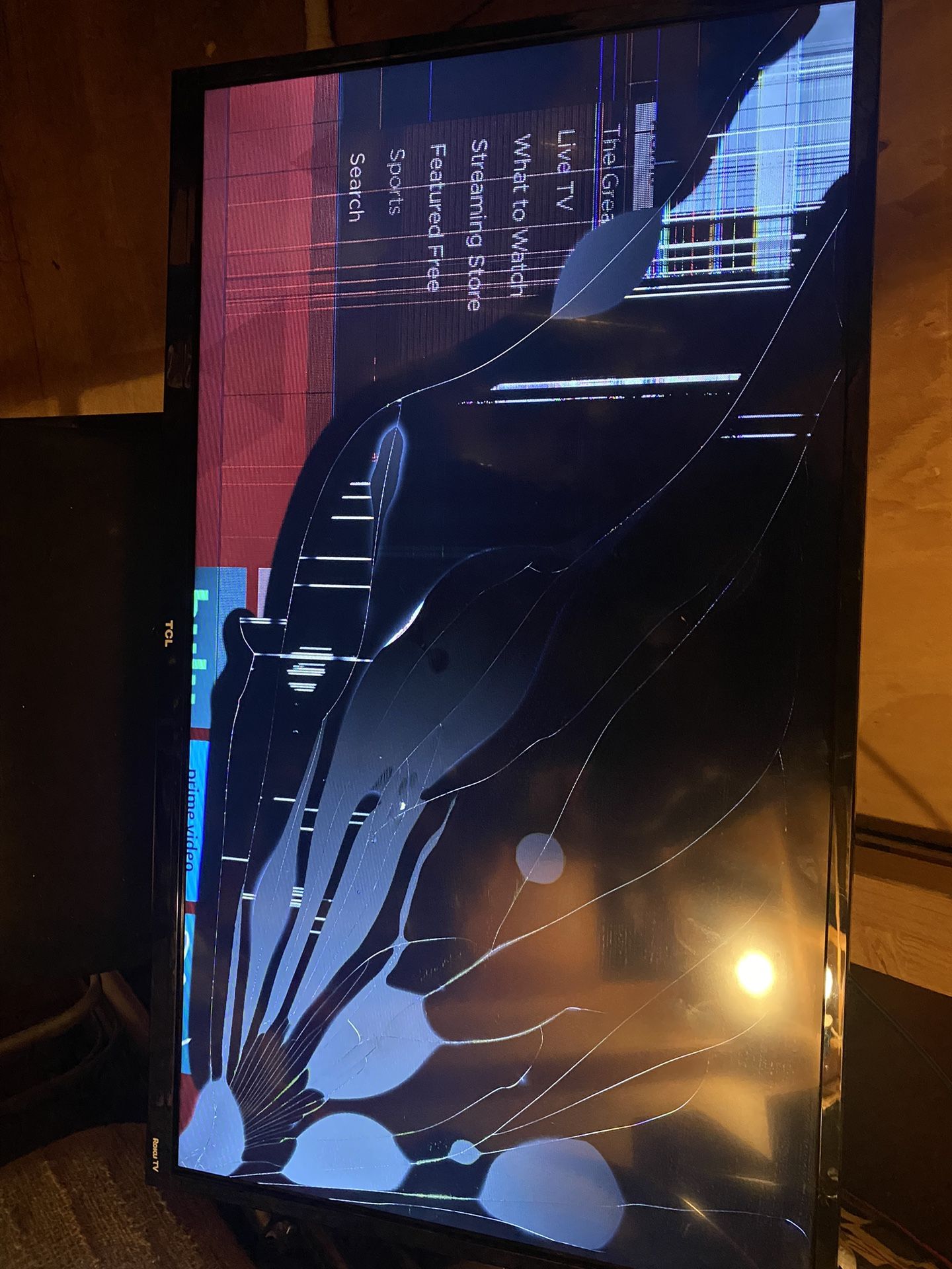 Broken Roku Tv
