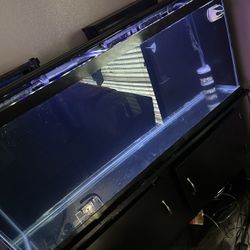 60 Gallon 