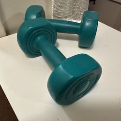 3lb Dumbbells 