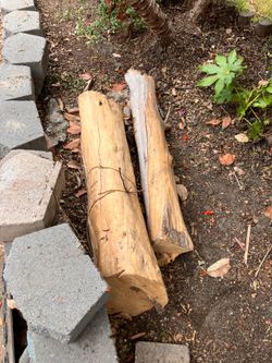 Firewood
