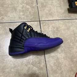 Jordan 12 Retro 9.5
