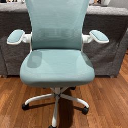 Office Chair / Gaming Chair For Sale!