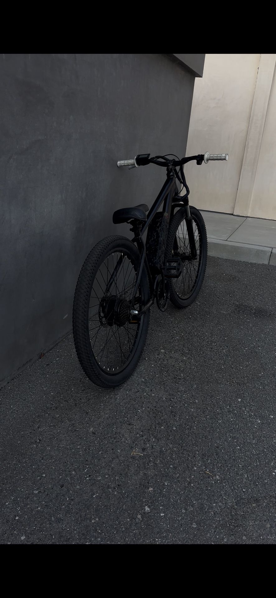 Modded Ebike