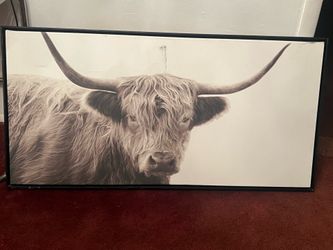 Buffalo Art Work