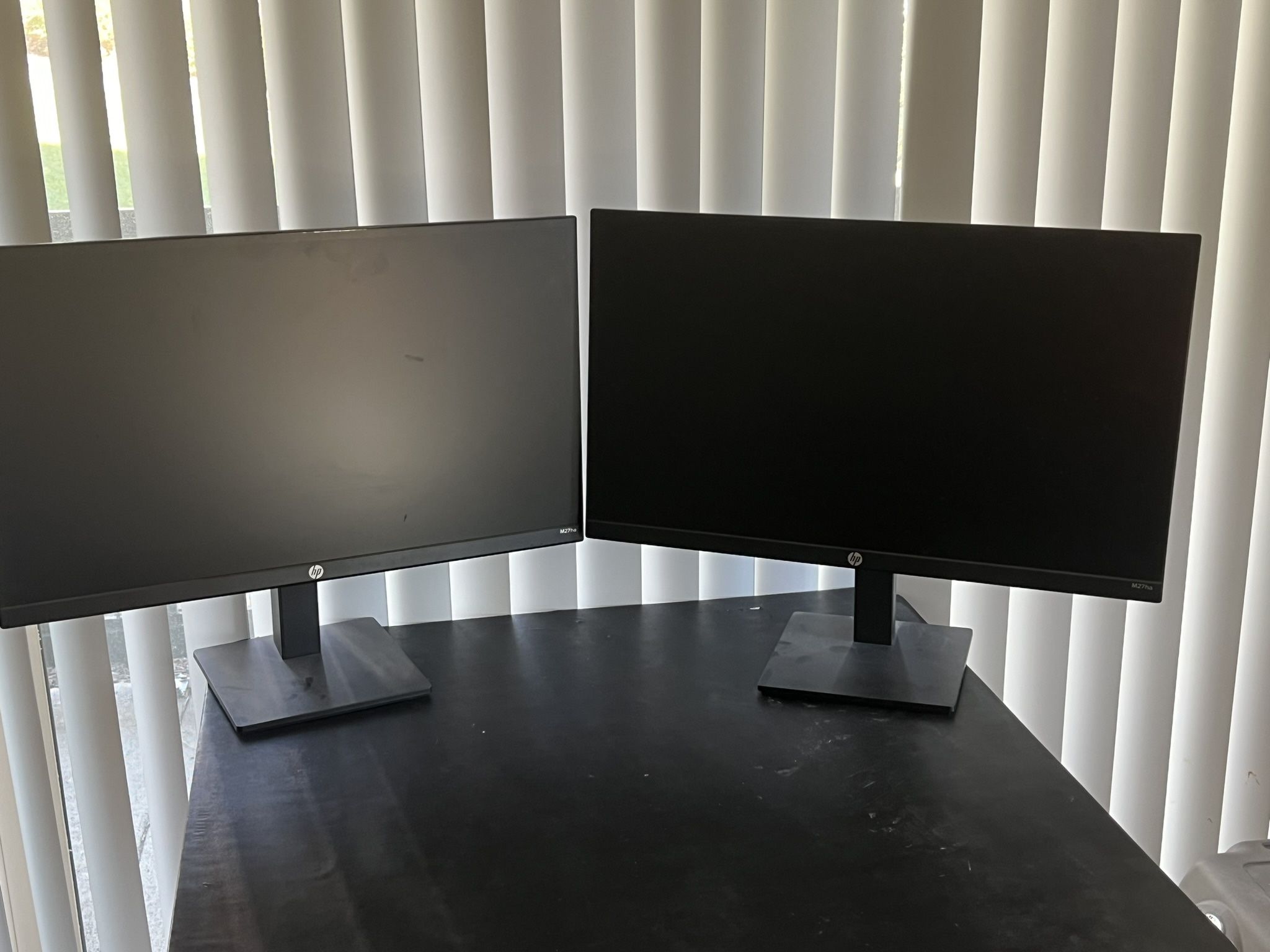 Dual 24” HP Monitors
