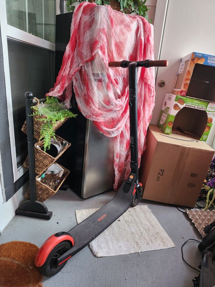 Segway NineBot Scooter ESL1 (CHARGER INCLUDED)