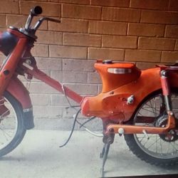 Honda 50 C-100 Supercub 