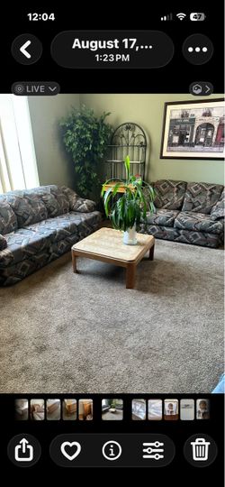Matching Sofa and Loveseat Set