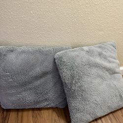 2 Grey Couch Pillows 