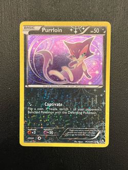 Purrloin Radiant Collection