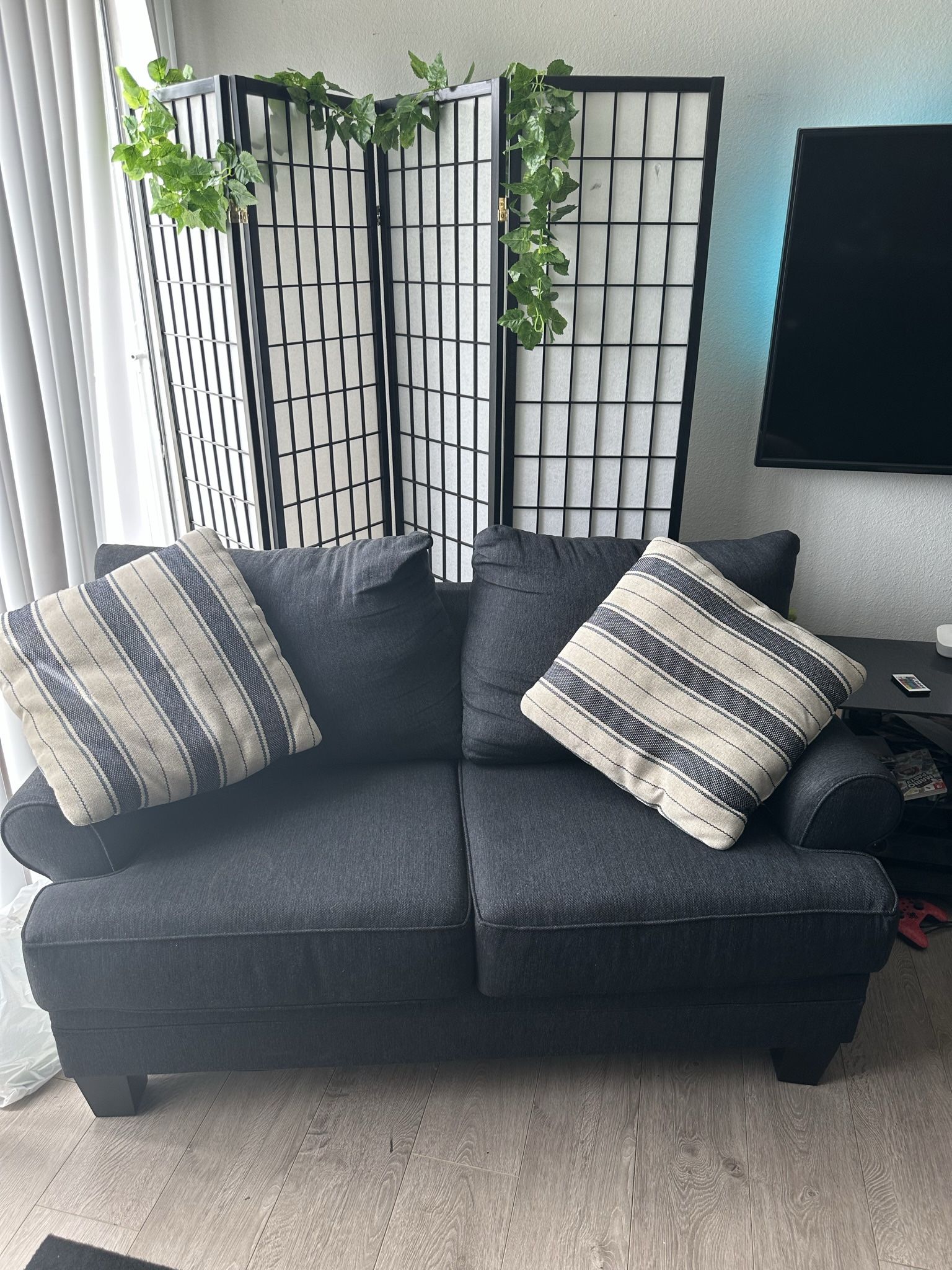 Comfy Set Of Couches!