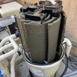 Special Swimming Pool Filter Clean $70 Filter Cleaning 