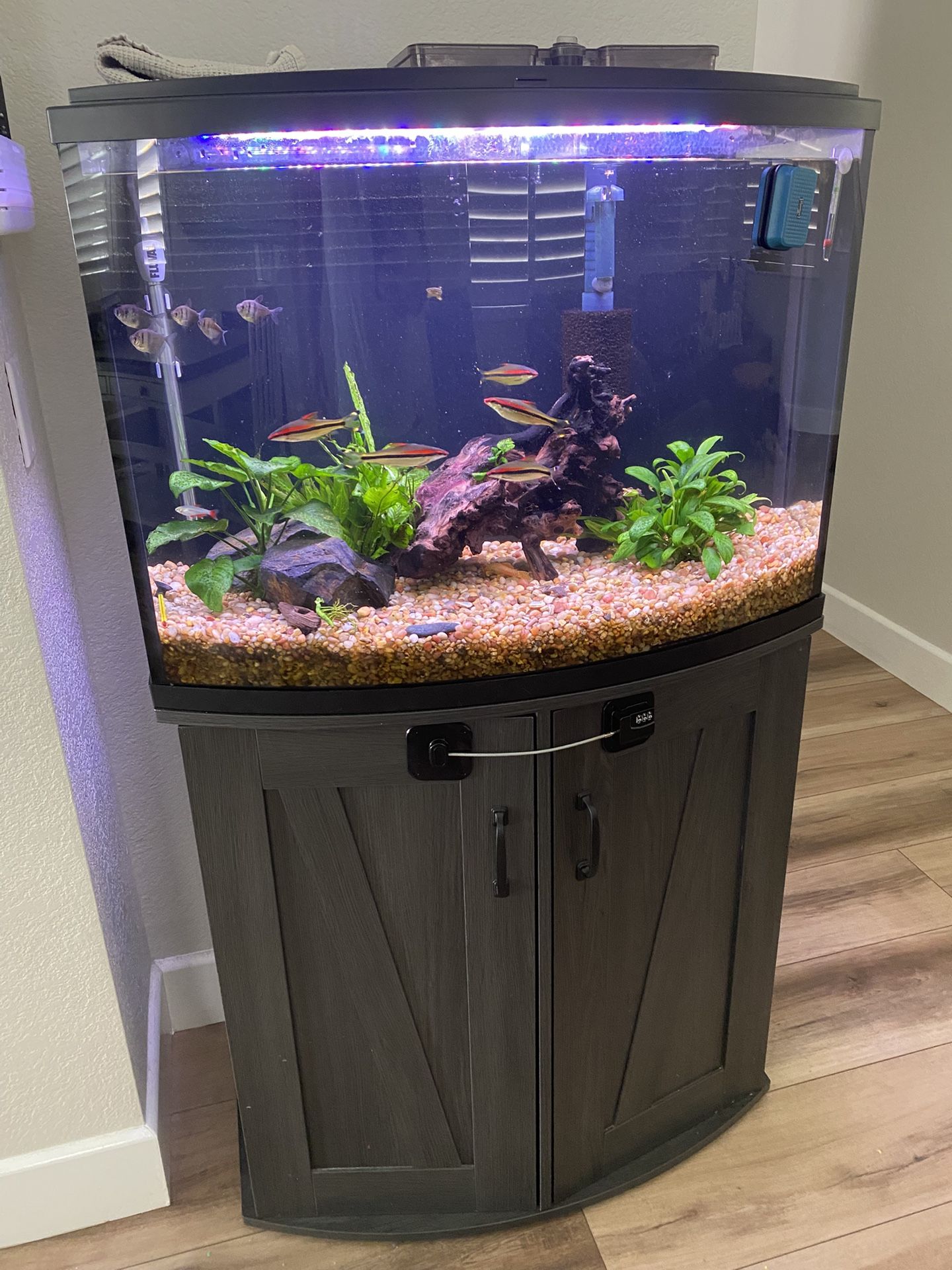 36 Gallon Fish Tank Aquarium $350