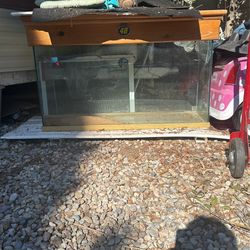 Reptile/fish Tank