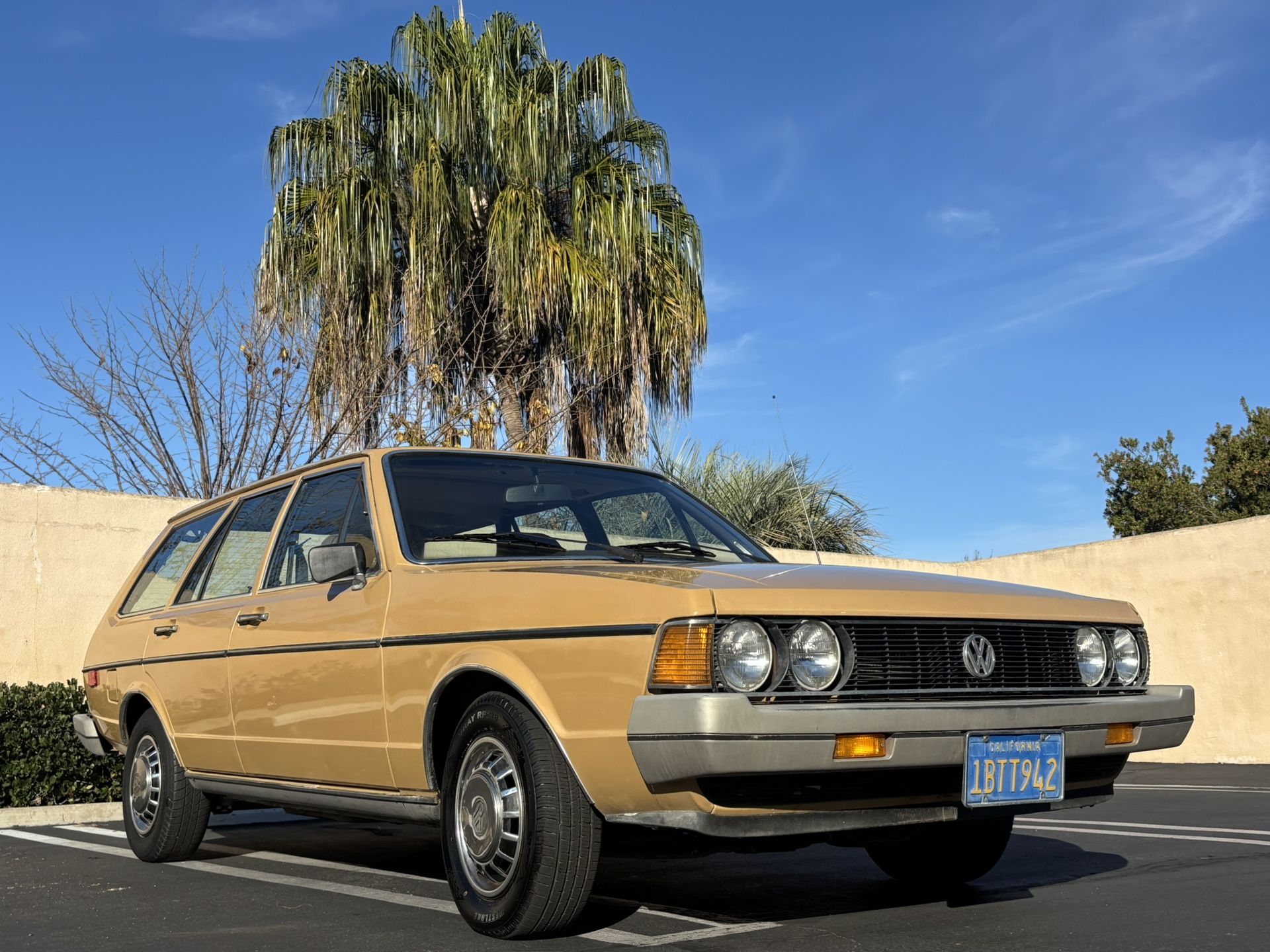 1981 Volkswagen Dasher