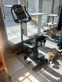 SCHWINN 170 Exercise Bike