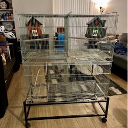 Bird Cage