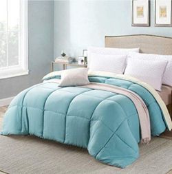 Queen Comforter AND Duvet Combo. 