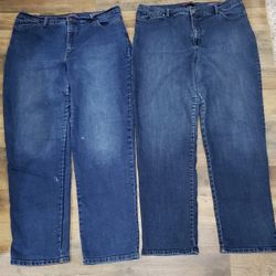 Gloria Vanderbil "Amanda" Stretchy Jeans size Womans 18 