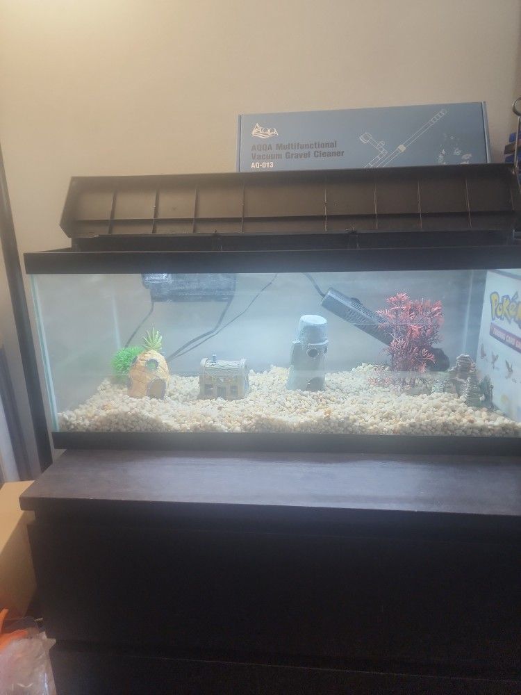 20 Gallon Fish Tank & Supplies