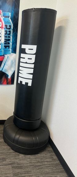 Standing Free Punching Bag