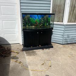Bowed Fish Tank (huge)