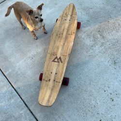 Longboard 