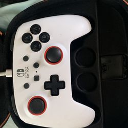 Nintendo Switch controller