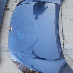 Honda Civic Hood Oem