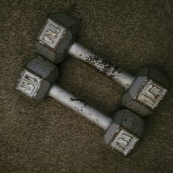 Pair of 10lbs dumbells