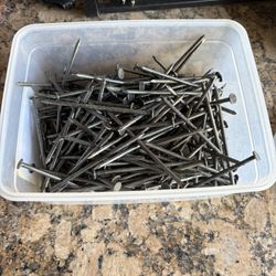 Nails 4 Inches $10 For Container 