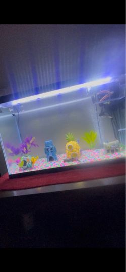 Fish tank
