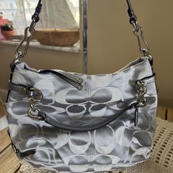 Coach Madison Y2K Model In Silver 