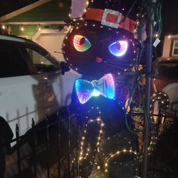 halloween cat new